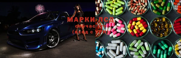 сатива Алексин