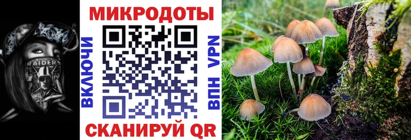Псилоцибиновые грибы GOLDEN TEACHER  Пролетарск 